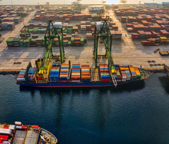 Supply Chain & Logistics